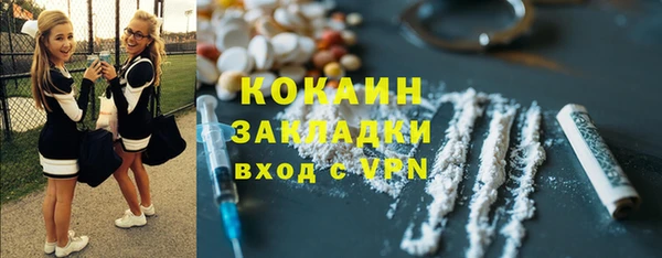мет Алексин