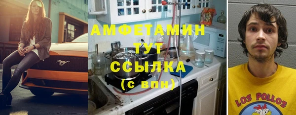 мет Алексин